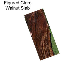 Figured Claro Walnut Slab