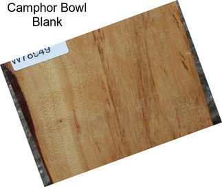 Camphor Bowl Blank