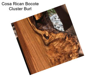 Cosa Rican Bocote Cluster Burl