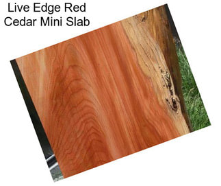 Live Edge Red Cedar Mini Slab