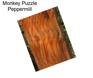 Monkey Puzzle Peppermill