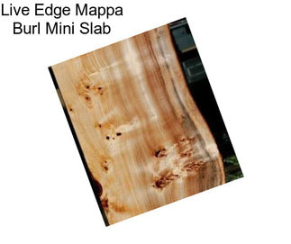 Live Edge Mappa Burl Mini Slab