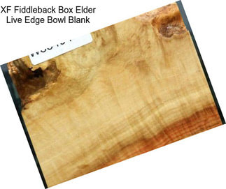 XF Fiddleback Box Elder Live Edge Bowl Blank