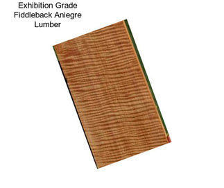 Exhibition Grade Fiddleback Aniegre Lumber