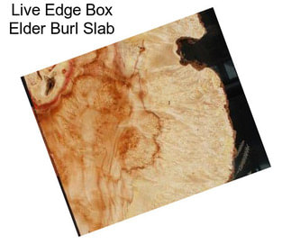 Live Edge Box Elder Burl Slab