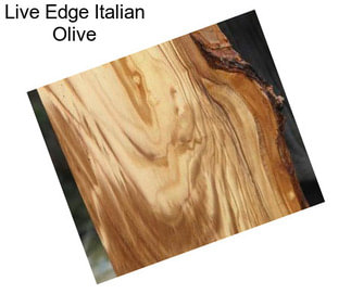 Live Edge Italian Olive