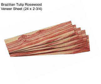 Brazilian Tulip Rosewood Veneer Sheet (24\