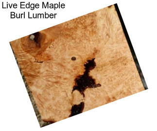 Live Edge Maple Burl Lumber