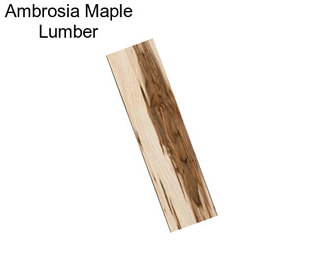 Ambrosia Maple Lumber