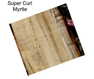 Super Curl Myrtle