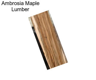 Ambrosia Maple Lumber