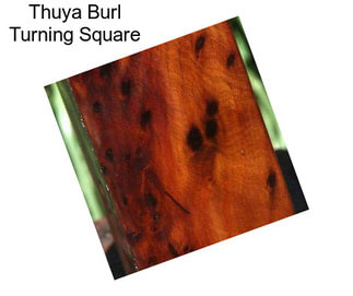 Thuya Burl Turning Square