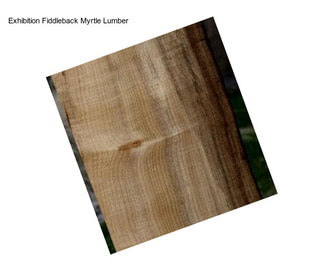 Exhibition Fiddleback Myrtle Lumber