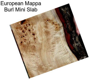 European Mappa Burl Mini Slab