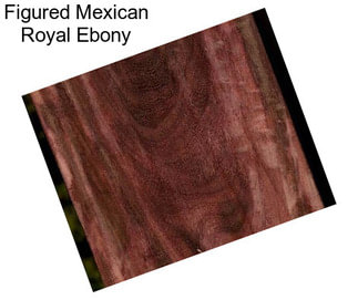 Figured Mexican Royal Ebony