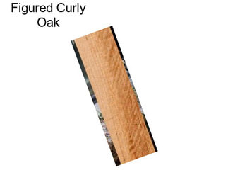 Figured Curly Oak