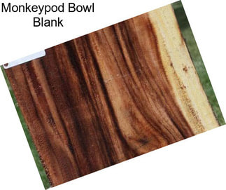 Monkeypod Bowl Blank