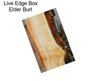 Live Edge Box Elder Burl