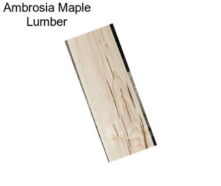 Ambrosia Maple Lumber