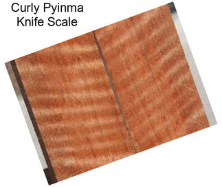 Curly Pyinma Knife Scale