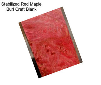 Stabilized Red Maple Burl Craft Blank