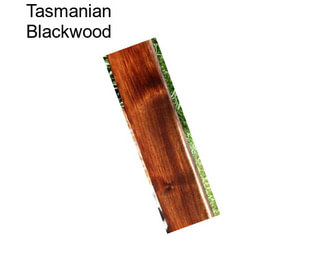 Tasmanian Blackwood