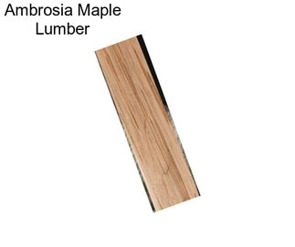 Ambrosia Maple Lumber