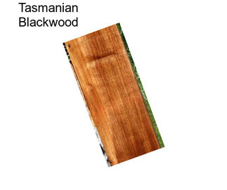 Tasmanian Blackwood