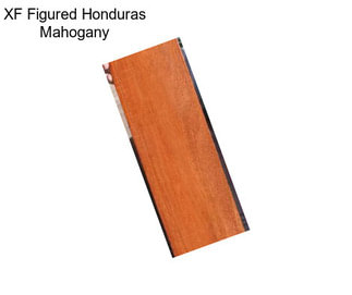 XF Figured Honduras Mahogany