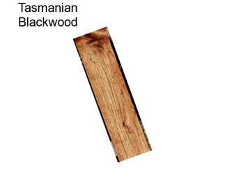 Tasmanian Blackwood