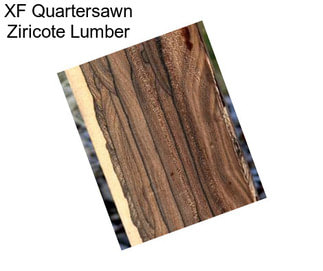 XF Quartersawn Ziricote Lumber