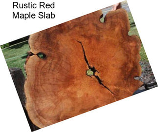 Rustic Red Maple Slab