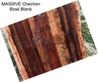 MASSIVE Chechen Bowl Blank