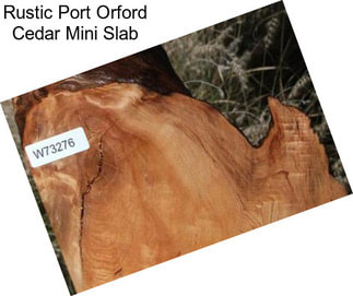 Rustic Port Orford Cedar Mini Slab