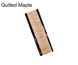 Quilted Maple