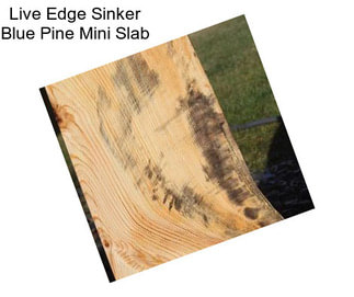 Live Edge Sinker Blue Pine Mini Slab