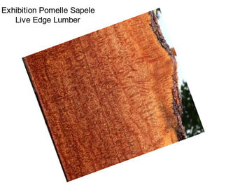 Exhibition Pomelle Sapele Live Edge Lumber