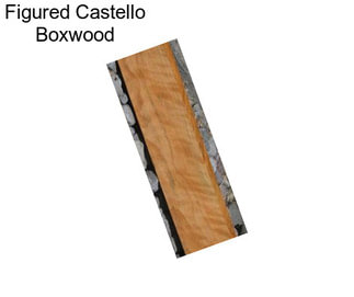 Figured Castello Boxwood