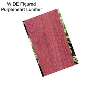 WIDE Figured Purpleheart Lumber