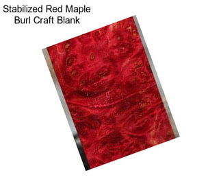 Stabilized Red Maple Burl Craft Blank