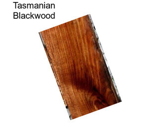 Tasmanian Blackwood