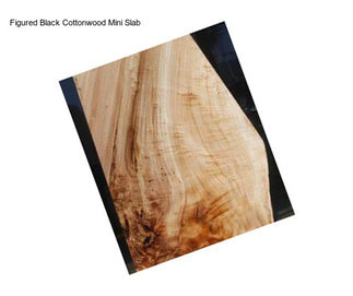 Figured Black Cottonwood Mini Slab