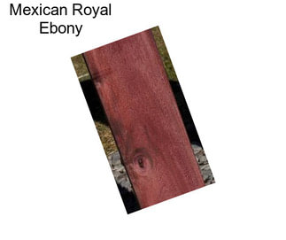 Mexican Royal Ebony