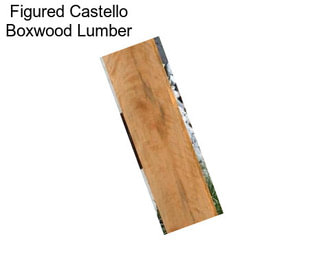 Figured Castello Boxwood Lumber