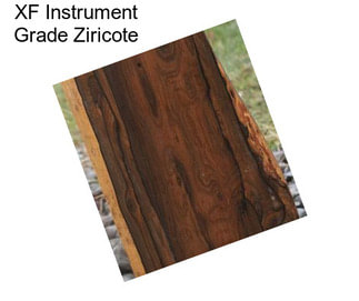 XF Instrument Grade Ziricote