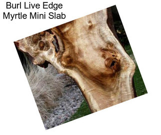 Burl Live Edge Myrtle Mini Slab