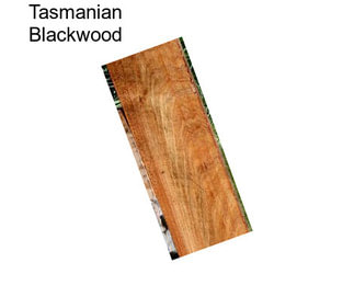 Tasmanian Blackwood