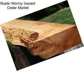 Rustic Wormy Inscent Cedar Mantel