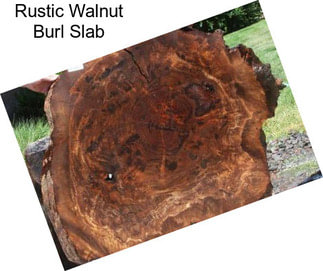 Rustic Walnut Burl Slab