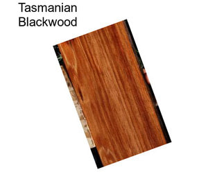 Tasmanian Blackwood